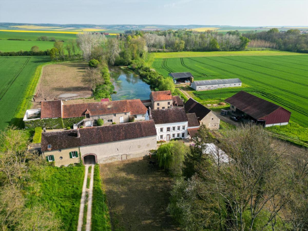 Le Moulin Neuf Villa Brienon-sur-Armançon Екстериор снимка