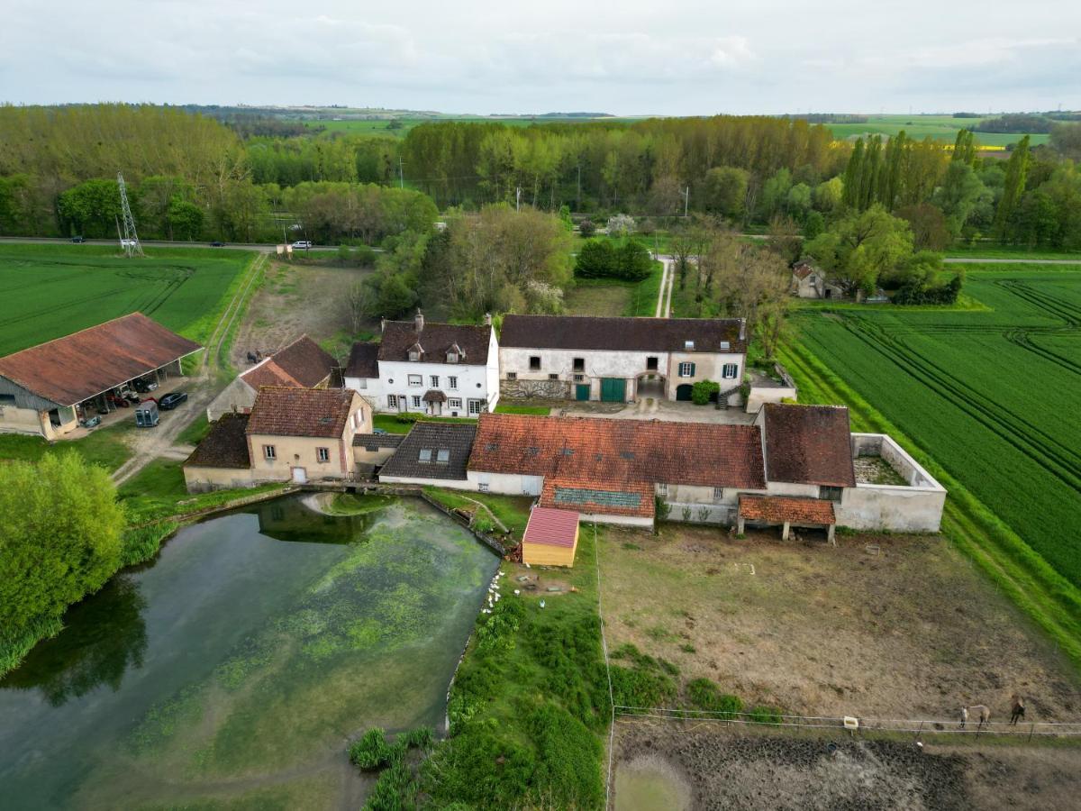 Le Moulin Neuf Villa Brienon-sur-Armançon Екстериор снимка