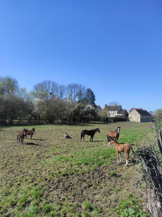 Le Moulin Neuf Villa Brienon-sur-Armançon Екстериор снимка