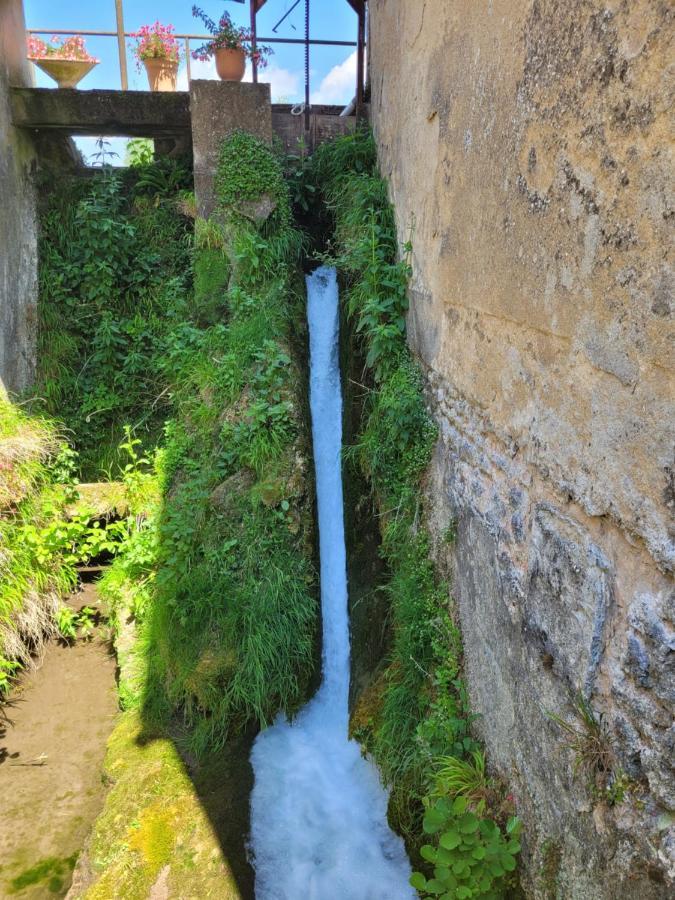 Le Moulin Neuf Villa Brienon-sur-Armançon Екстериор снимка